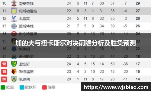 加的夫与纽卡斯尔对决前瞻分析及胜负预测